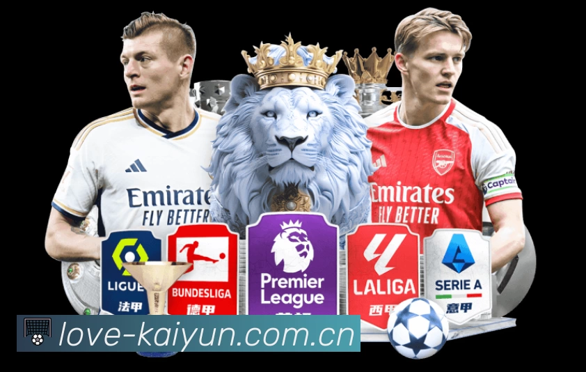 开云App 功能展示